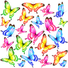 Fototapety  piękne kolorowe motyle, zestaw, na białym tle