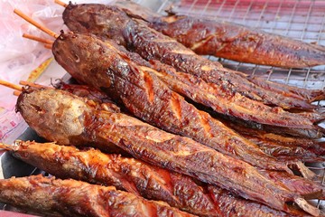 grilled fish at street food