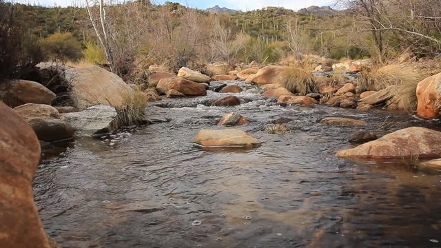 Water flowing through Sabino Canyonn in southern Arizona.