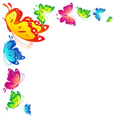 beautiful color butterflies,set, isolated  on a white