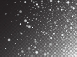 Winter Snowfall Ice Texture Vector Transparent Background. Realistic Snow Confetti Falling Down, Isolated Snowflake Scatter. Random Moving Realistic Snow Confetti, Christmas New Year Frost Decoration.