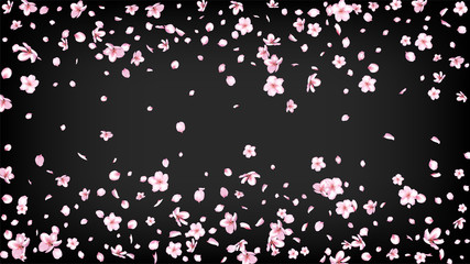 Obraz na płótnie Canvas Nice Sakura Blossom Isolated Vector. Tender Flying 3d Petals Wedding Frame. Japanese Beauty Spa Flowers Wallpaper. Valentine, Mother's Day Magic Nice Sakura Blossom Isolated on Black