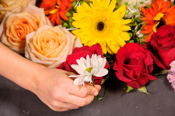 Colorful flowers in female hands on the gray background . Bouquet of flowers. 