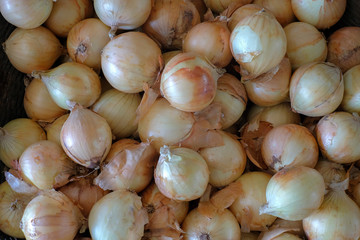 Fresh onions. Onions background fresh raw onions
