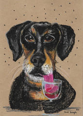 Dachshund with wine glass