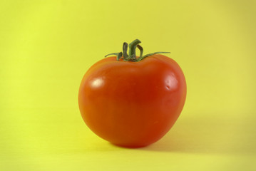 Tomato on Yellow