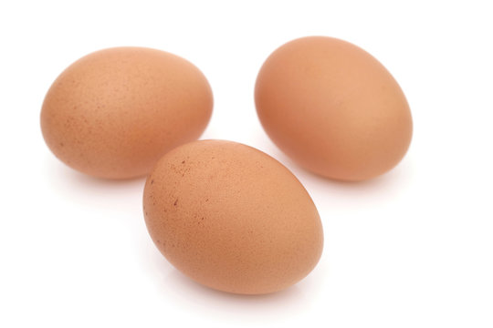 玉子　卵
