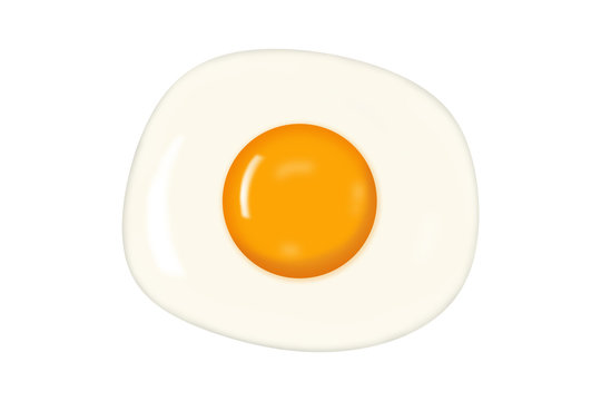 Fried Egg Isolated on White Background