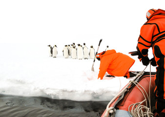 Scientists approaching to a group of emperor penguins © IzzetNoyan