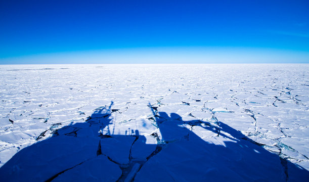 Oceanography In Antarctica