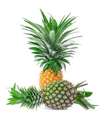 Fototapeta premium pineapple isolated on white background