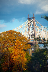 New York City Bridge Landscape with Fall Colors