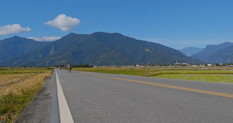 Chishang paddy rice meadow field