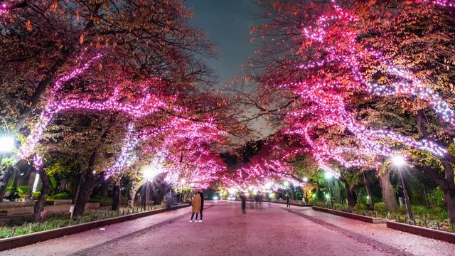 Timelapse of Pink LED Avenue at Ueno Park in Tokyo -Zoom Out-
