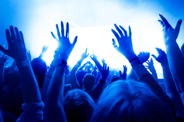 concert crowd at rock concert