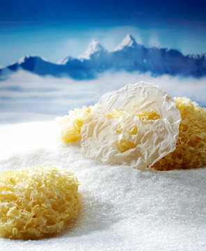 Plant white fungus and white fungus Mask, in the background of snowy mountains