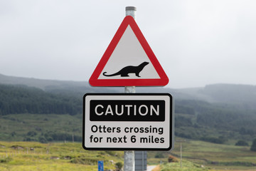 caution otter crossing road sign