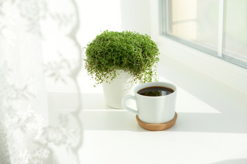 a white cup of coffee stands near the window next to the green plant good morning