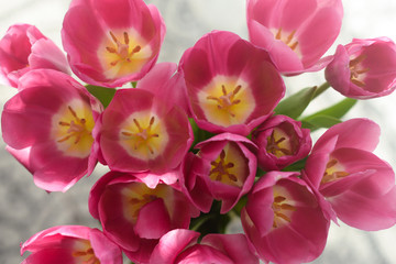 Obraz na płótnie Canvas pink spring flowers tulips pistils stamen petals from above