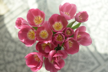 pink spring flowers tulips pistils stamen petals from above