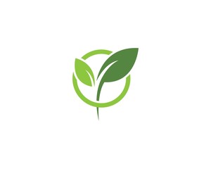 green leaf ecology logo vector