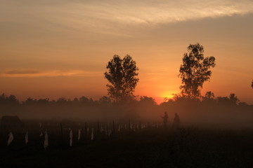 twilight sun rise. silhouette at countryside.