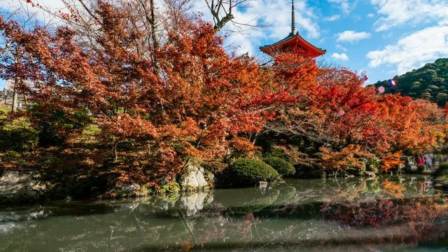 Timelapse of Pagoda Reflection Fall Foliage in Kyoto -Pan Right-