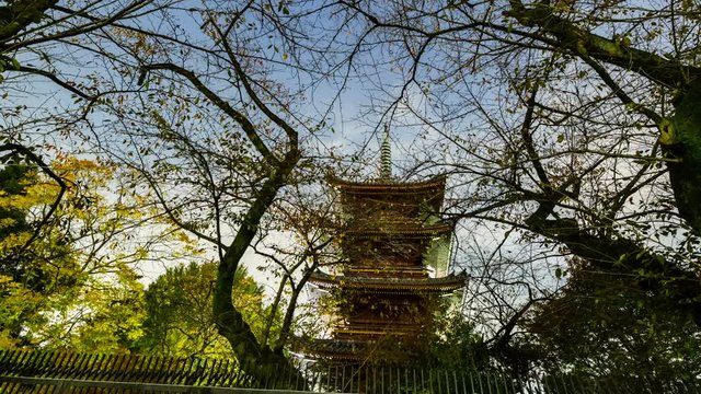 Timelapse Pan Shot of Buddhist Pagoda at Night in Ueno Park in Tokyo -Close Up-