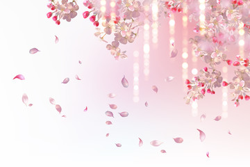 Fototapeta premium Spring Blossom Background