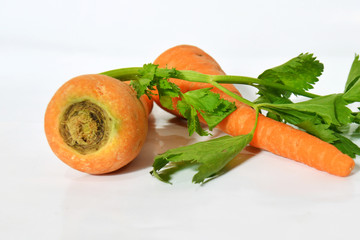 Fresh Carrots on white background
