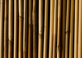 Fototapeta premium Close up of bamboo texture pattern backgrounds