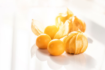 Cape Gooseberry on white in beautiful light