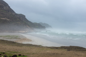 Mughsayl, near Salalah, Dhofar Province, Oman, during Khareef.