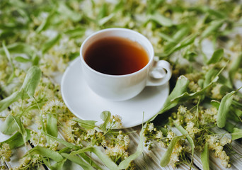 White cup linden tea or blooming tilia, basswood, on rustic vintage white wooden table. Herbal tea concept, selective focus. Treatment of cold and flu.