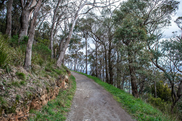Landscape
