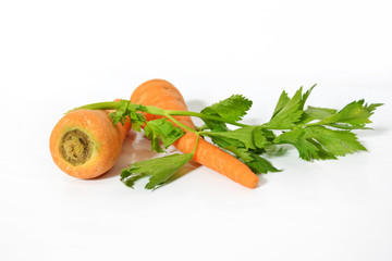 Fresh Carrots on white background