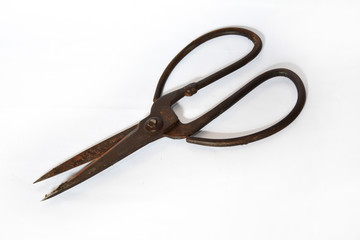 Old scissor on white background