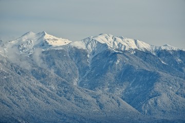 Panorama of snowy mountains. Winter forest and rocky peaks in the snow. Sunny winter day.