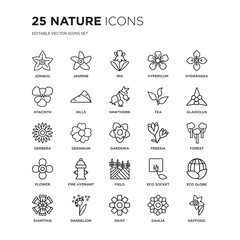Set of 25 nature linear icons such as Jonquil, Jasmine, Iris, Hypericum, Hydrangea, Gladiolus, Forest, eco globe, Dandelion, vector illustration of trendy icon pack. Line icons with thin line stroke.