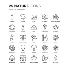 Set of 25 nature linear icons such as Cypress, Clover, Cliff, Clematis, Chrysanthemum, Cannabis, Zinnia, Aster, Anemone, vector illustration of trendy icon pack. Line icons with thin line stroke.