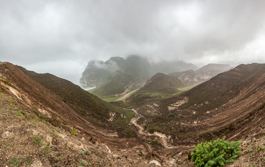 Fototapeta premium Misty green coastal landscape near Salalah, Dhofar Province, Oman