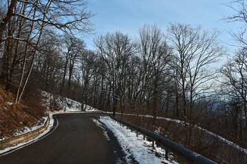 Road in the winter forest. No one. Snow on the branches of trees. Winter sunny day.