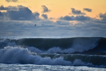 Storm on the sea at sunset. Blue sky with dark clouds. The light of the sun on the horizon. Big waves roll ashore. Splashes and mist over the wave.