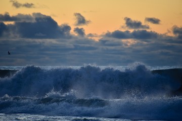 Storm on the sea at sunset. Blue sky with dark clouds. The light of the sun on the horizon. Big waves roll ashore. Splashes and mist over the wave.