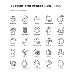 Set of 25 FRUIT AND VEGETABLES linear icons such as Rambutan, Radish, Potato, Pomegranate, Plum, Peanut, Paprika, Olive, vector illustration of trendy icon pack. Line icons with thin line stroke.