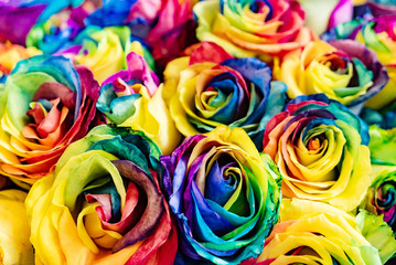 Fototapeta na wymiar colorful roses bouquet, natural background