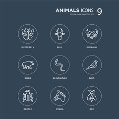9 Butterfly, Bull, Beetle, Bird, blindworm, Buffalo, Boar, Zebra modern icons on black background, vector illustration, eps10, trendy icon set.