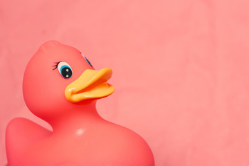 Funny pink rubber duck with a yellow beak on craft paper background. Place for text
