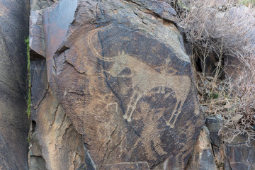 the ancients Petroglyphs in Tamgaly Tash in Kazakhstan
