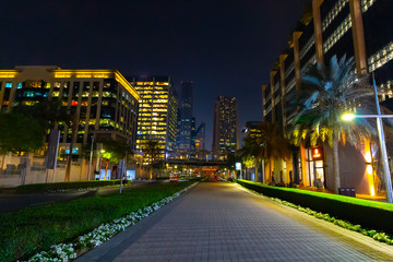 Fototapeta na wymiar Walk through the night streets of Dubai.